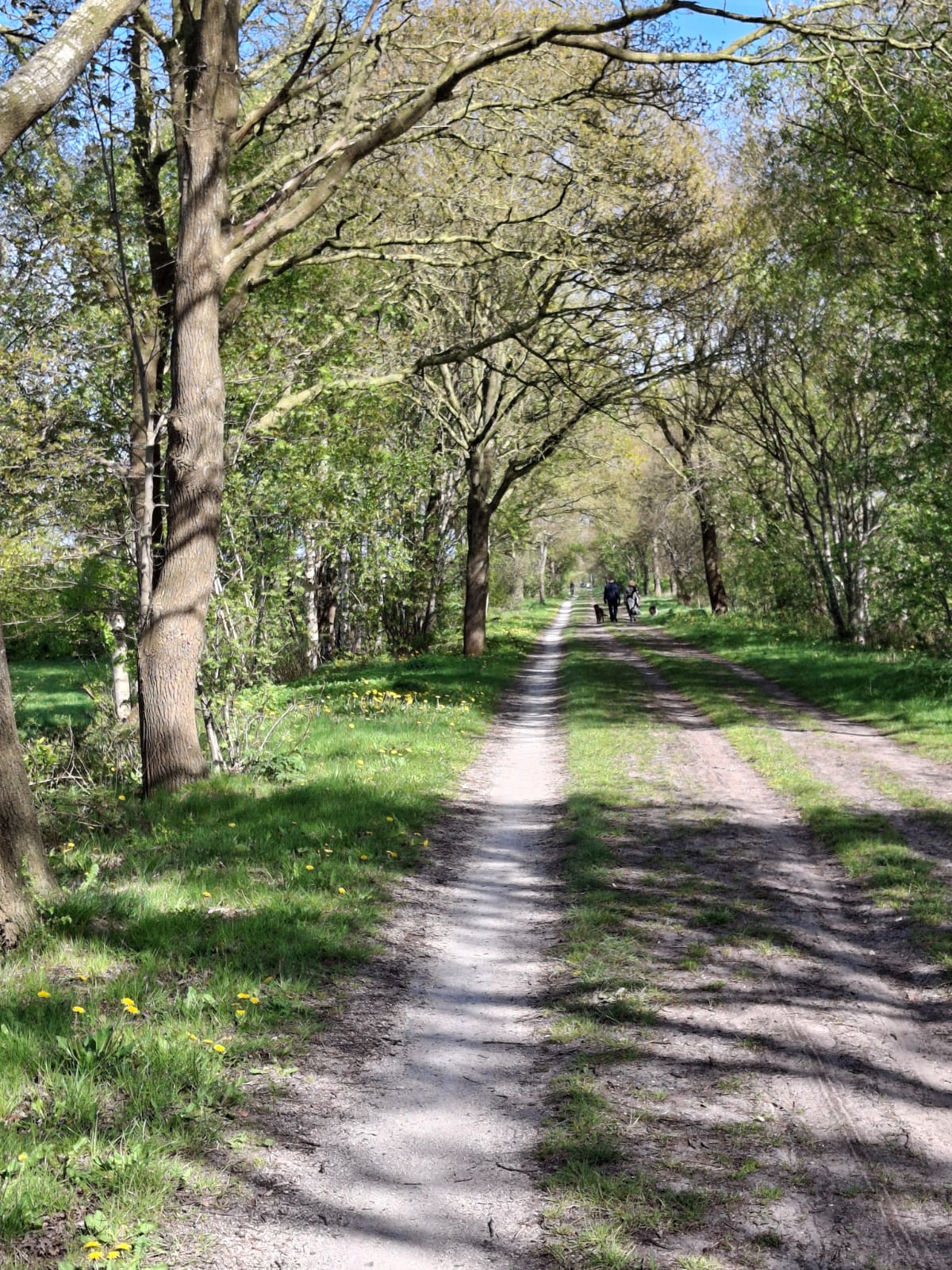 Wandelpad met wandelaars in de omgeving