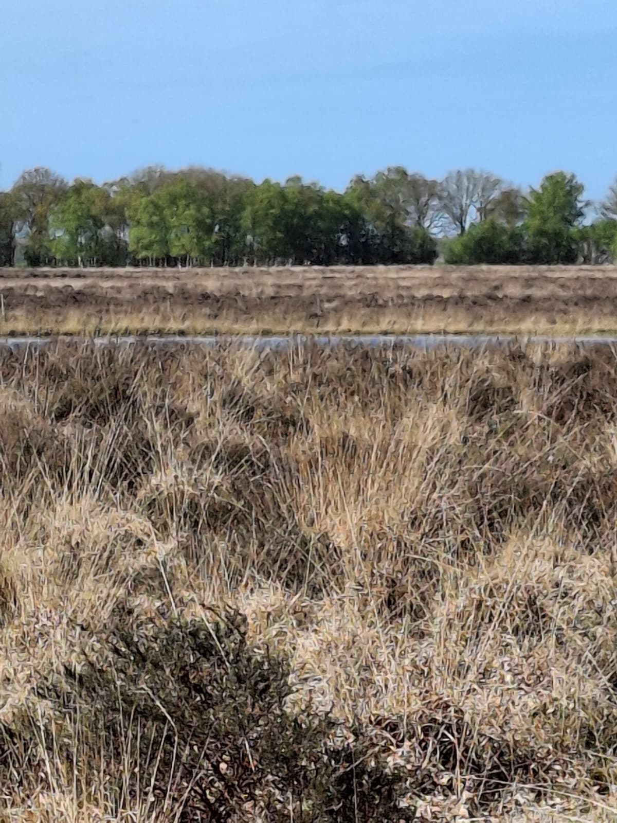Natuur rond Bron van Rust