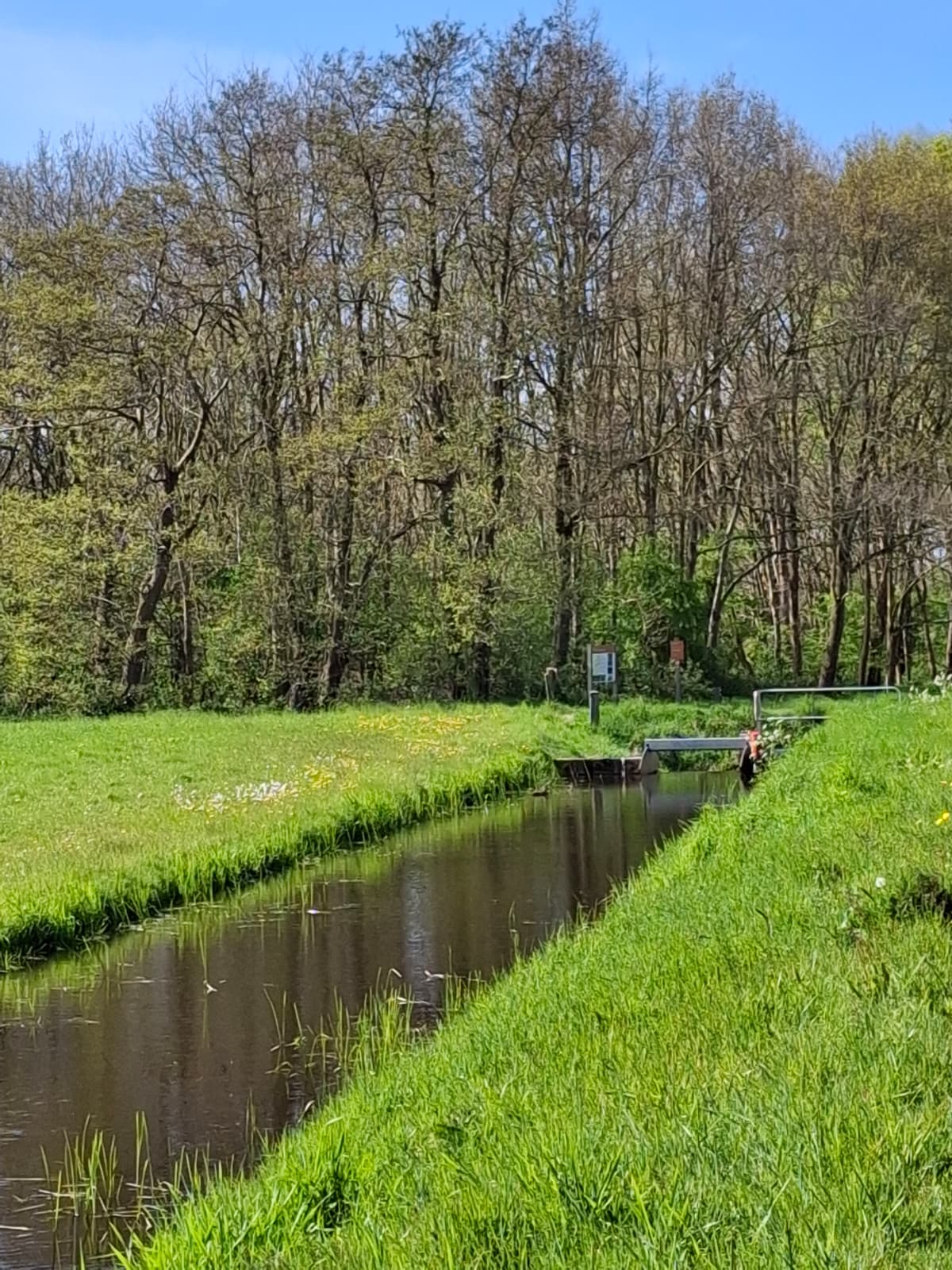 Natuur rond Opende