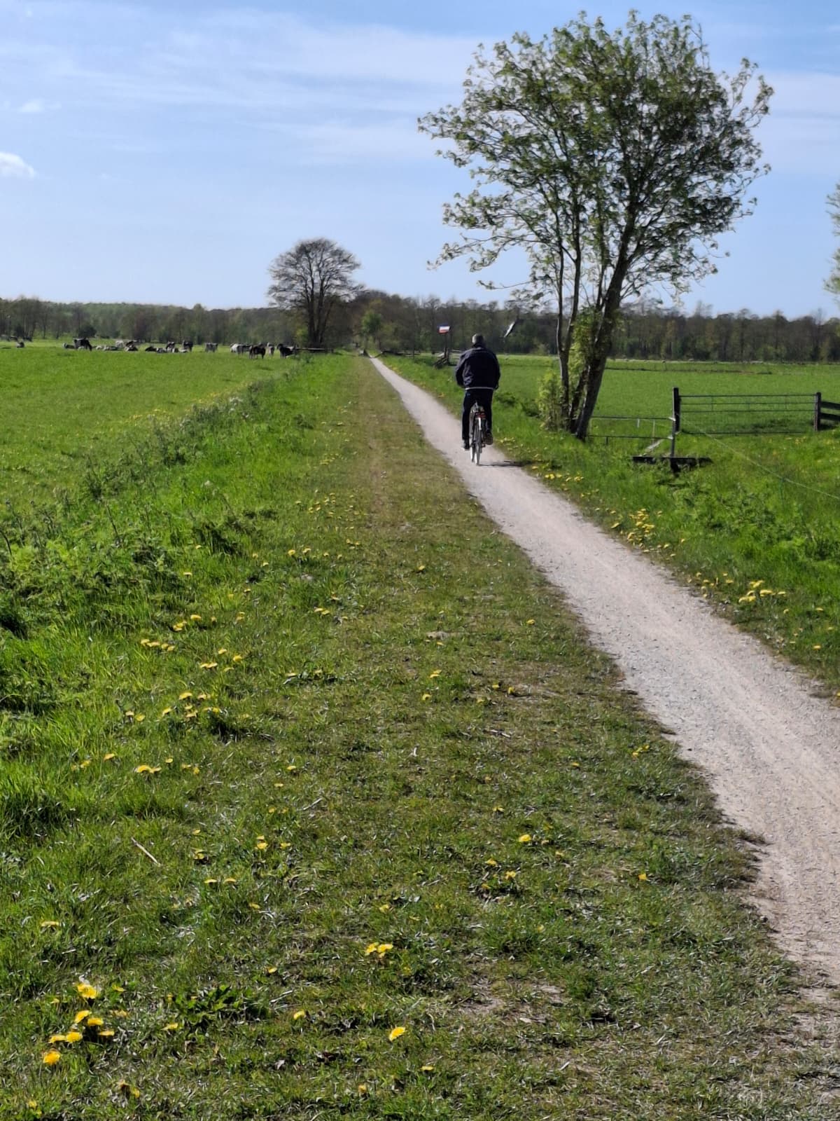Natuur rond Opende, op de grens van Groningen en Friesland