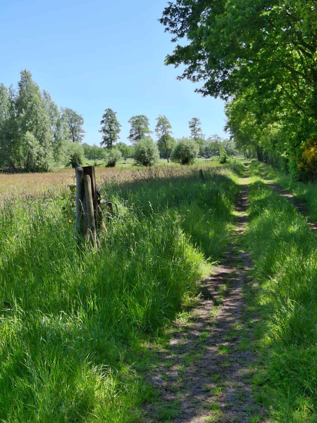 Landweg in de omgeving richting Leeuwarden