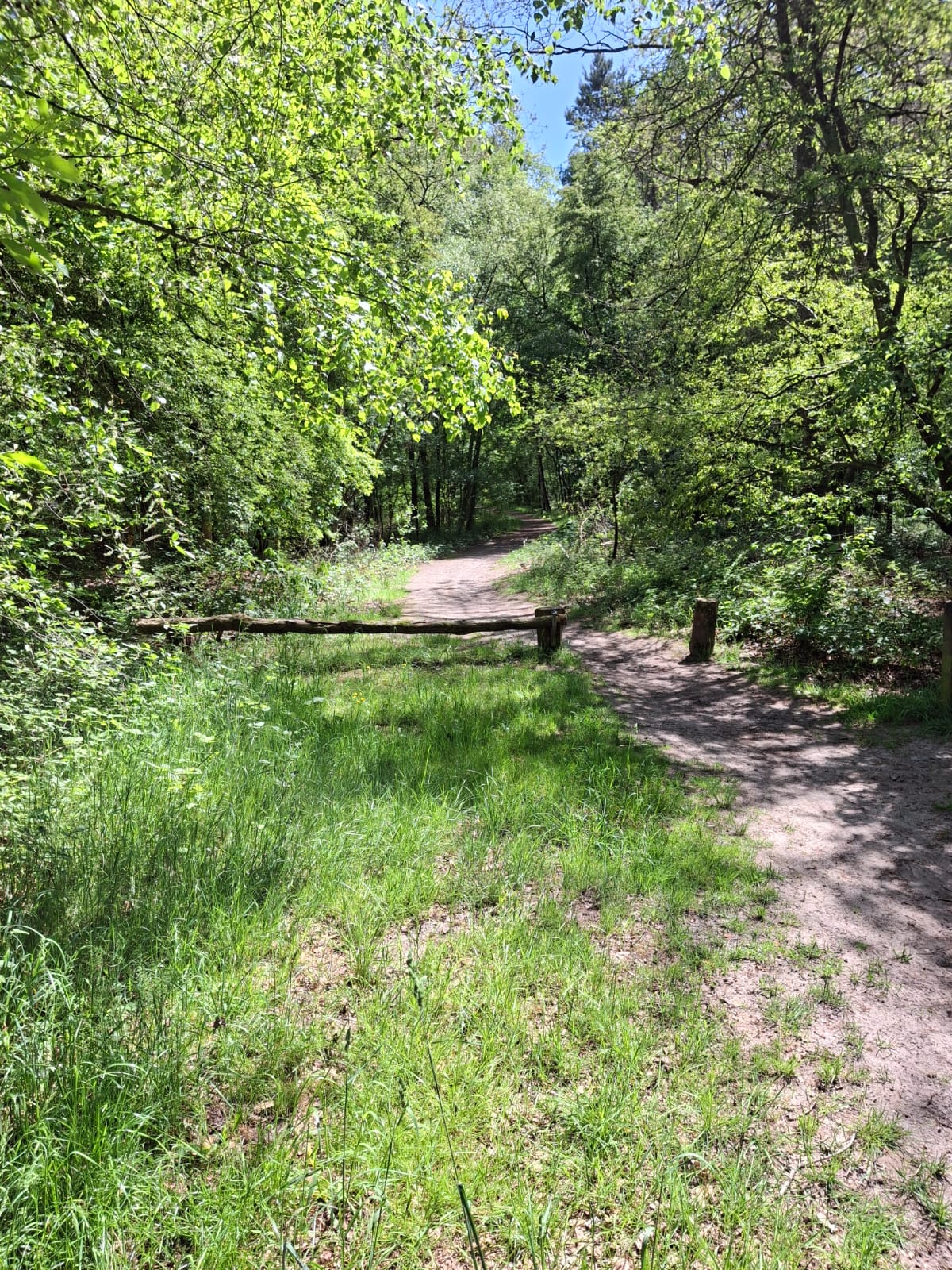 Natuur op loopafstand in Opende