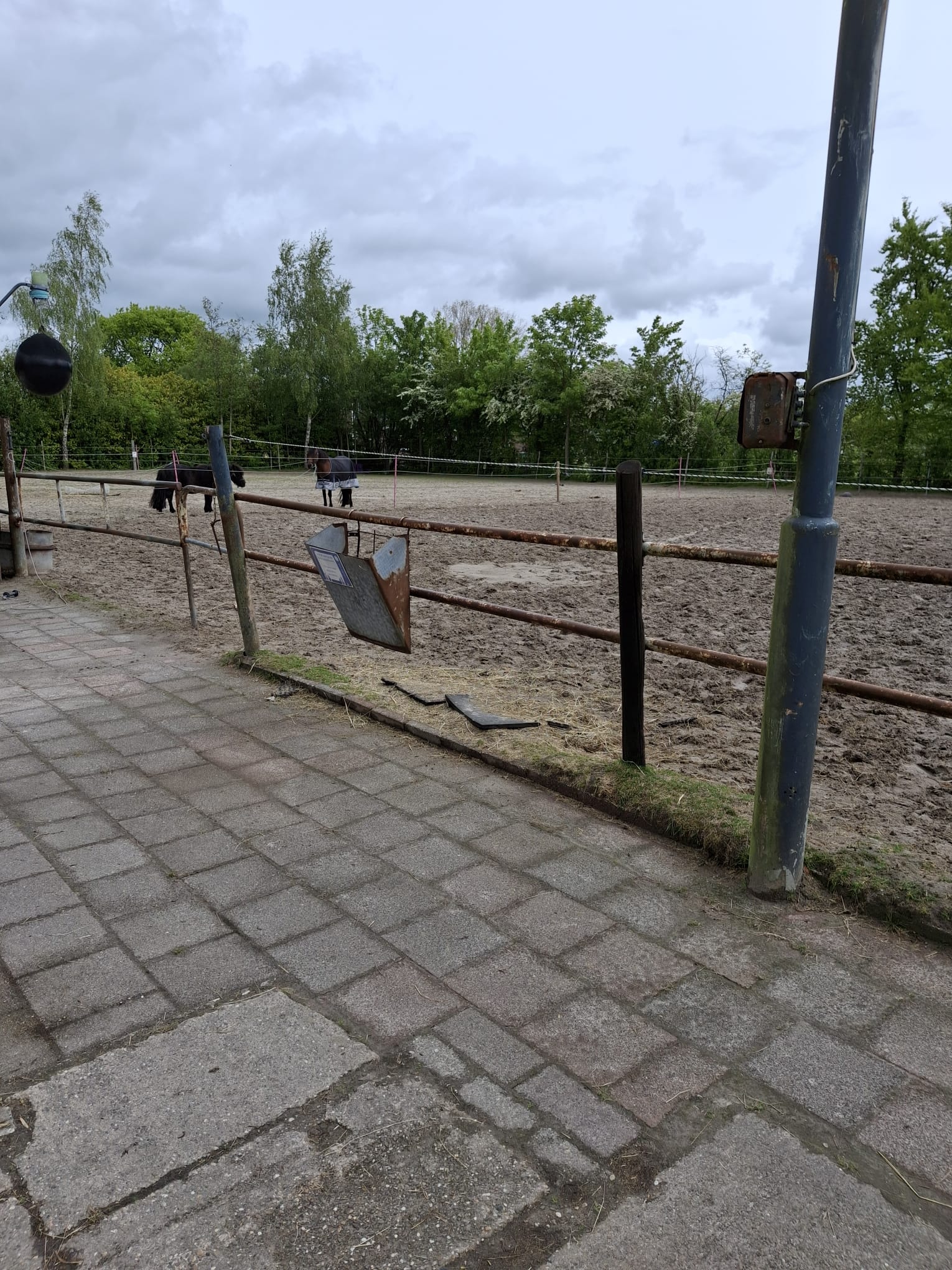 Paddock en stallen bij Bron van Rust